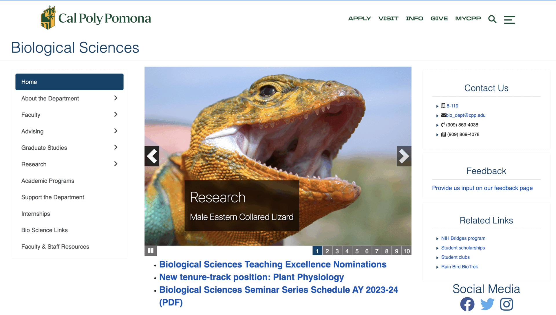 BioSearch-CPP Preview